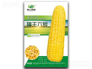 ����6̖(h��o)-���׷N��-�︣�r(n��ng)�I(y��)