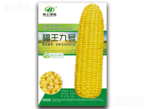 ����9̖(h��o)-���׷N��-�︣�r(n��ng)�I(y��)