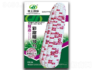 ����Ŵ10̖-���׷N��-�︣�r(n��ng)�I(y��)