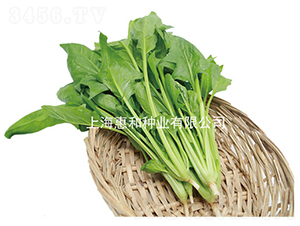 �G��75-���˷N��-�ݺͷN�I(y��)