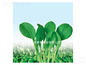 �����uë��-�uë�˷N��-�ݺͷN�I(y��)