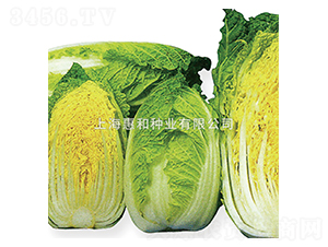 С��-�ײ˷N��-�ݺͷN�I(y��)