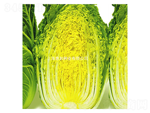 �r�S-�ײ˷N��-�ݺͷN�I(y��)