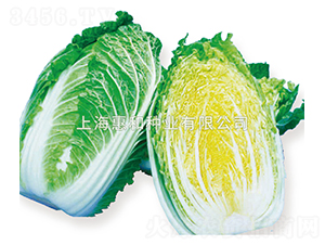 �S��70-�ײ˷N��-�ݺͷN�I(y��)