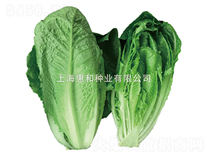 �G��-���˷N��-�ݺͷN�I(y��)