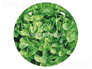 �Gɺ��-���˷N��-�ݺͷN�I(y��)