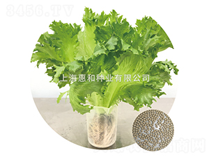 �G��-���˷N��-�ݺͷN�I(y��)