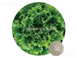 ��(y��u)��-���˷N��-�ݺͷN�I(y��)