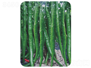 �L(zh��ng)�S2̖(h��o)-�����N��-�����r(n��ng)�I(y��)