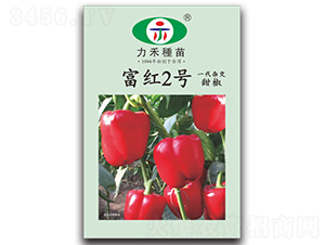 ���t2̖(h��o)-�����N��-�����r(n��ng)�I(y��)