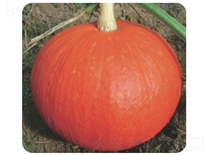 ��tϲ889-�ϹϷN��-�����r(n��ng)�I(y��)