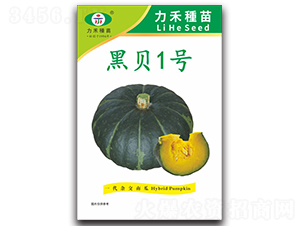 ��ؐ1̖-�ϹϷN��-�����r(n��ng)�I(y��)