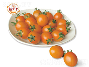 ���A�M-���ѷN��-�����r(n��ng)�I(y��)