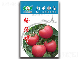 �ۺ���-���ѷN��-�����r(n��ng)�I(y��)