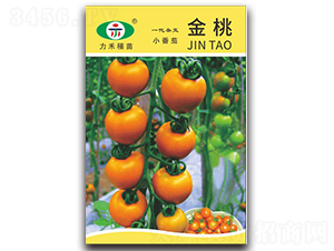 ����-���ѷN��-�����r(n��ng)�I(y��)