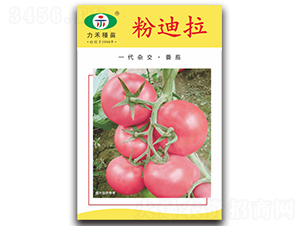 �۵���-���ѷN��-�����r(n��ng)�I(y��)