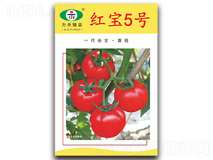 �t��5̖-���ѷN��-�����r(n��ng)�I(y��)