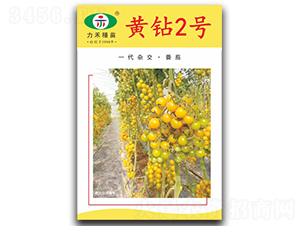 �S�@2̖-���ѷN��-�����r(n��ng)�I(y��)