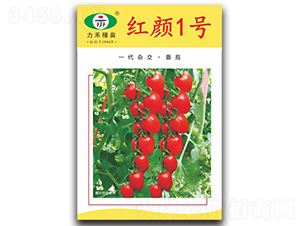 �t�1̖(h��o)-���ѷN��-�����r(n��ng)�I(y��)