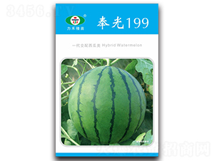 ���199-���ϷN��-�����r(n��ng)�I(y��)