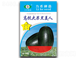 �߿����������-���ϷN��-�����r(n��ng)�I(y��)