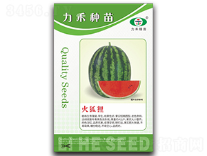 ���؂-���ϷN��-�����r(n��ng)�I(y��)