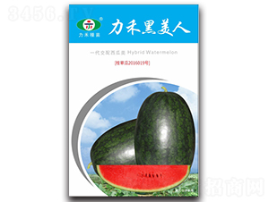 ���̺�����-���ϷN��-�����r(n��ng)�I(y��)