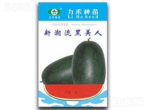 �³���������-���ϷN��-�����r(n��ng)�I(y��)