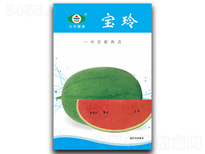 ����-���ϷN��-�����r(n��ng)�I(y��)