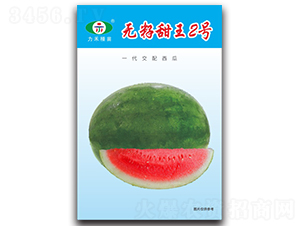 �o������2̖-���ϷN��-�����r(n��ng)�I(y��)