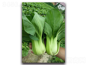 �����๣��-�๣�˷N��-�������r(n��ng)�I(y��)