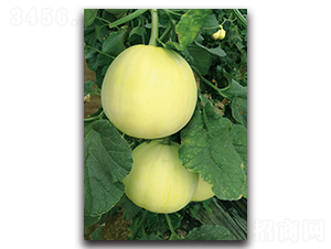 �������-��ϷN��-�������r(n��ng)�I(y��)