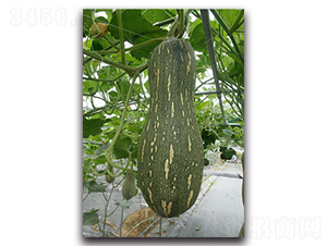 ܽ������-�ϹϷN��-�������r(n��ng)�I(y��)