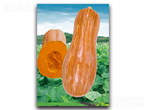 �������-�ϹϷN��-�������r(n��ng)�I(y��)