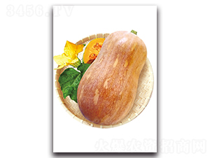 ��������̖-�ϹϷN��-�������r(n��ng)�I(y��)