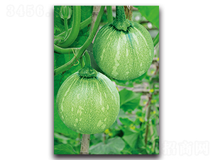 ��Ʒ����1̖-�ϹϷN��-�������r(n��ng)�I(y��)