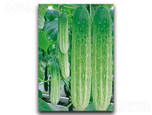 ���G-�S�ϷN��-�������r(n��ng)�I(y��)