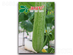 �߈@��̖-�S�ϷN��-�������r(n��ng)�I(y��)