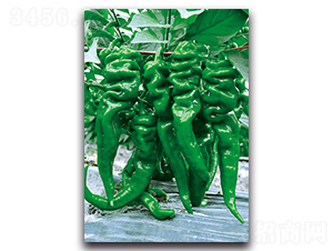 ����-�����N��-�������r(n��ng)�I(y��)