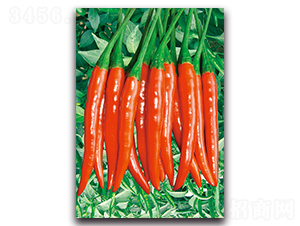 ����-�����N��-�������r(n��ng)�I(y��)