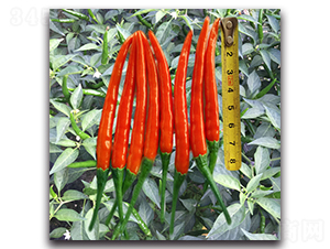 ����-�����N��-�������r(n��ng)�I(y��)