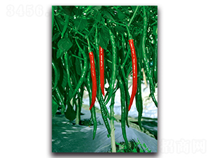 �t��303-�����N��-�������r(n��ng)�I(y��)