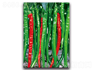 �L(zh��ng)��-�����N��-�������r(n��ng)�I(y��)