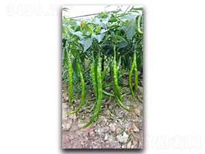 ����102-�����N��-�������r(n��ng)�I(y��)