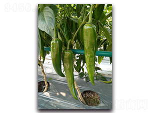 ���L(zh��ng)����(j��)16̖(h��o)-�����N��-�������r(n��ng)�I(y��)