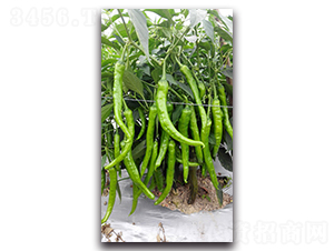 �������-�����N��-�������r(n��ng)�I(y��)