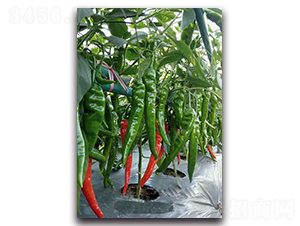 ������-�����N��-�������r(n��ng)�I(y��)