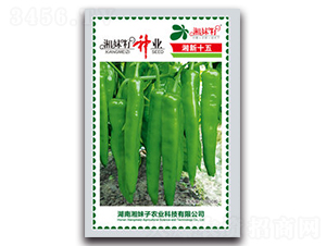 ����ʮ��-�����N��-�������r(n��ng)�I(y��)