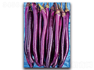 ����-���ӷN��-�������r(n��ng)�I(y��)