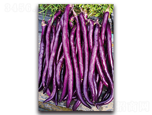 ��(y��u)��-���ӷN��-�������r(n��ng)�I(y��)